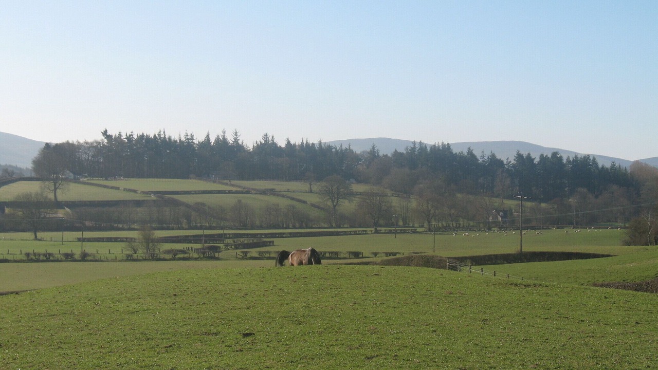 Photo of Others in Llanarmon-yn-Ial