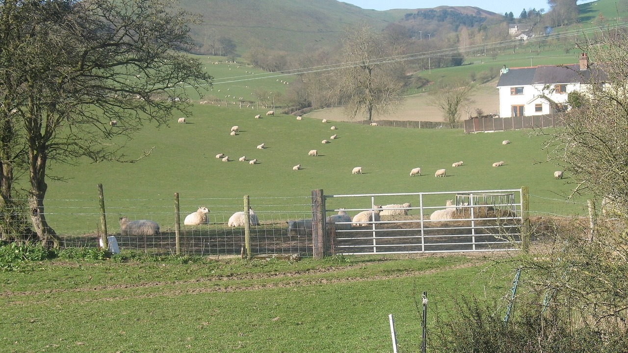 Photo of Others in Llanarmon-yn-Ial