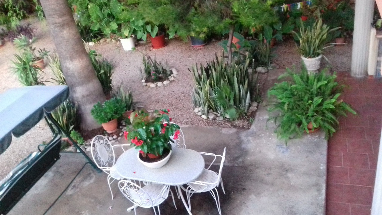 Photo of Outdoor in Camarles