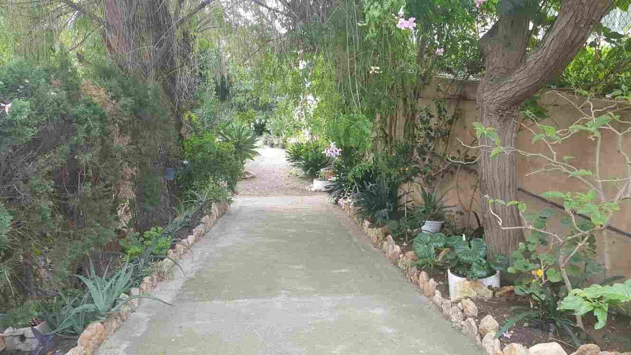 Photo of Outdoor in Camarles