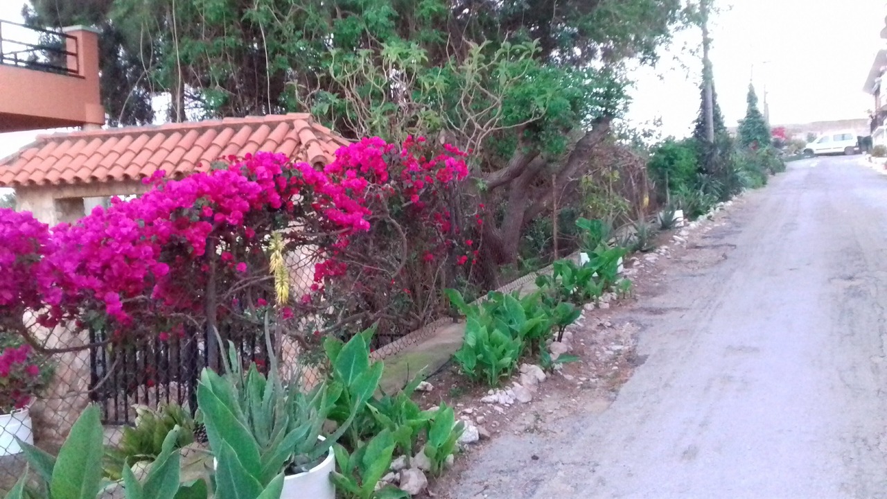 Photo of Outdoor in Camarles