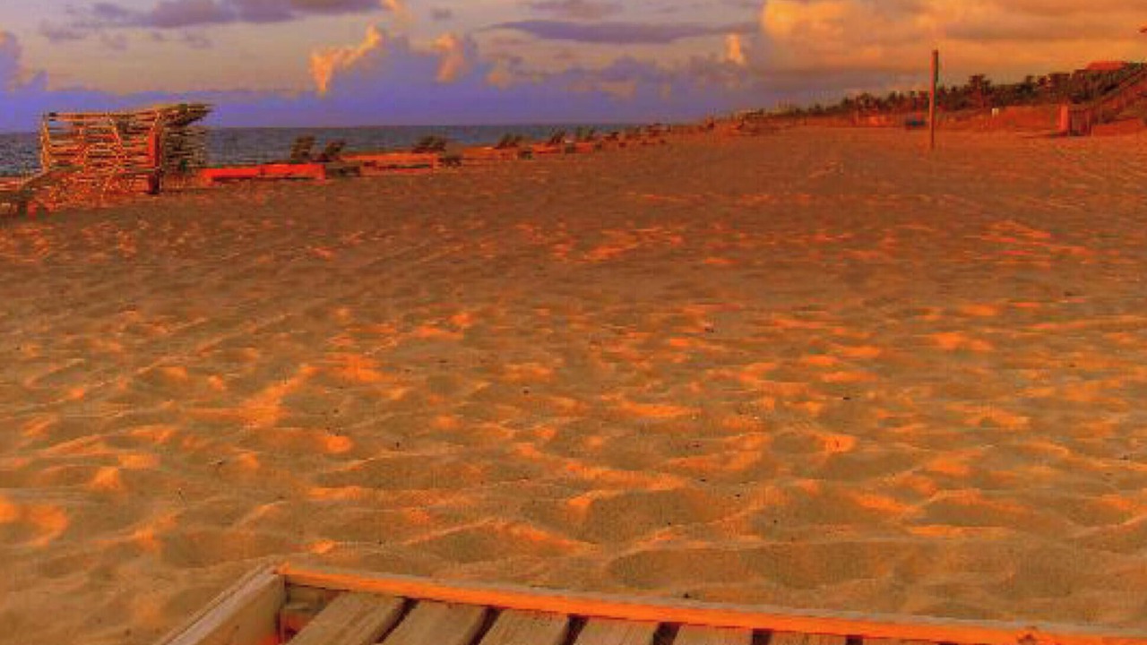 Photo of Others in Delray Beach
