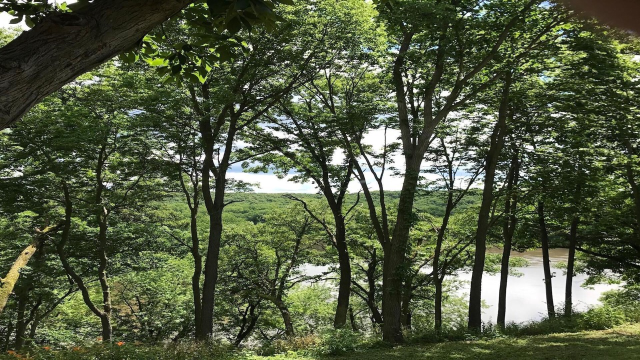 Photo of Others in Holcomb