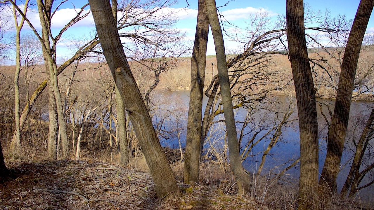 Photo of Outdoor in Holcomb