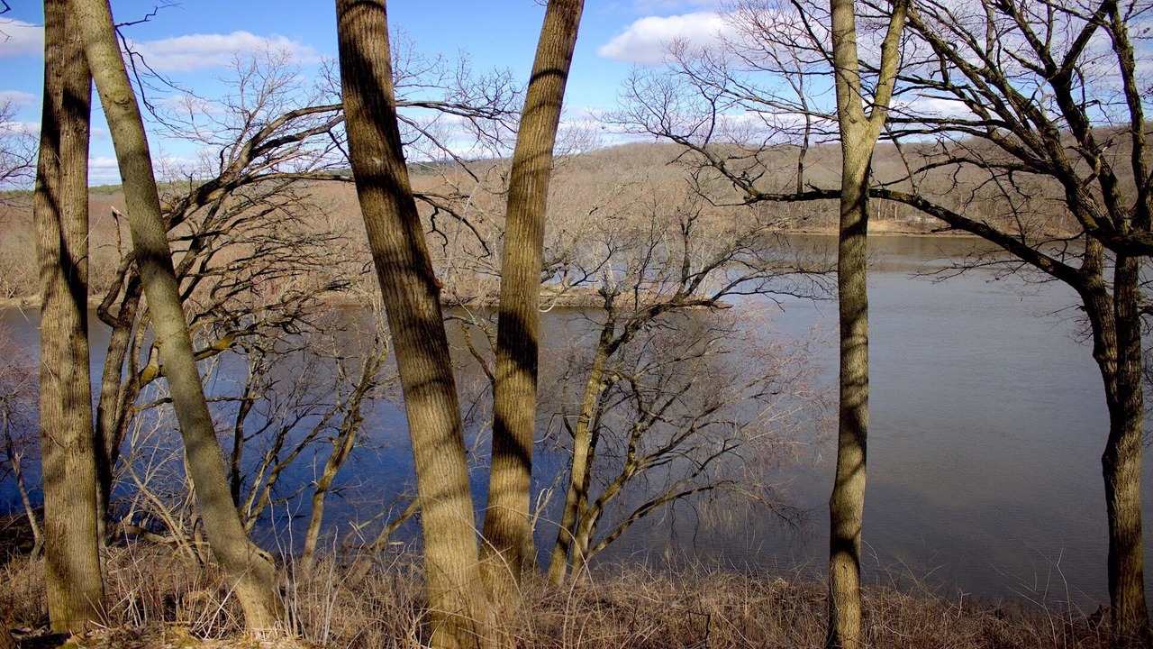 Photo of Others in Holcomb