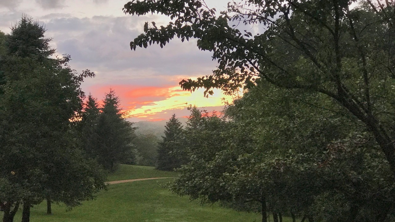 Photo of Others in Holcomb