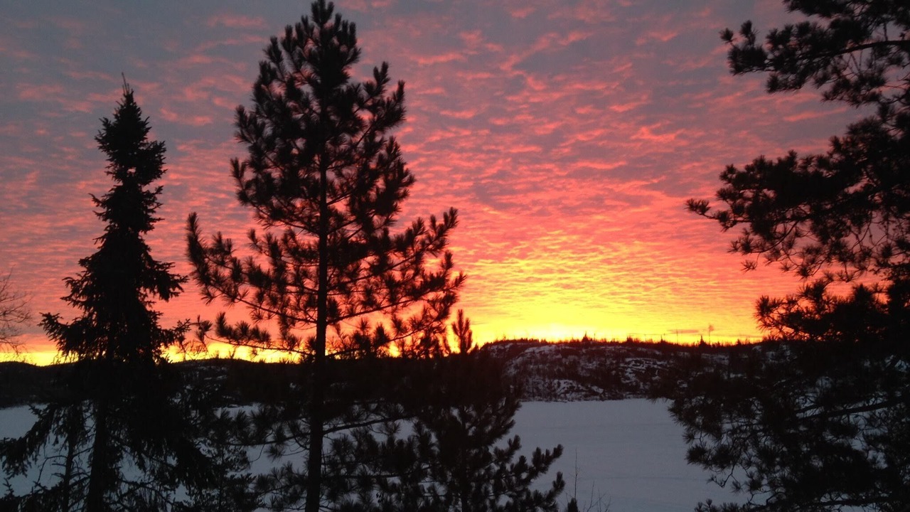 Photo of Outdoor in West Cook