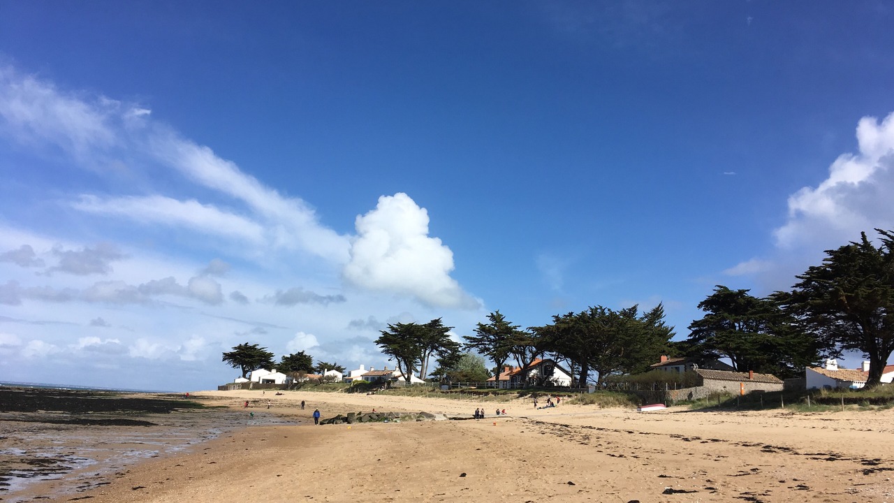 Photo of Others in Noirmoutier-en-l'Ile