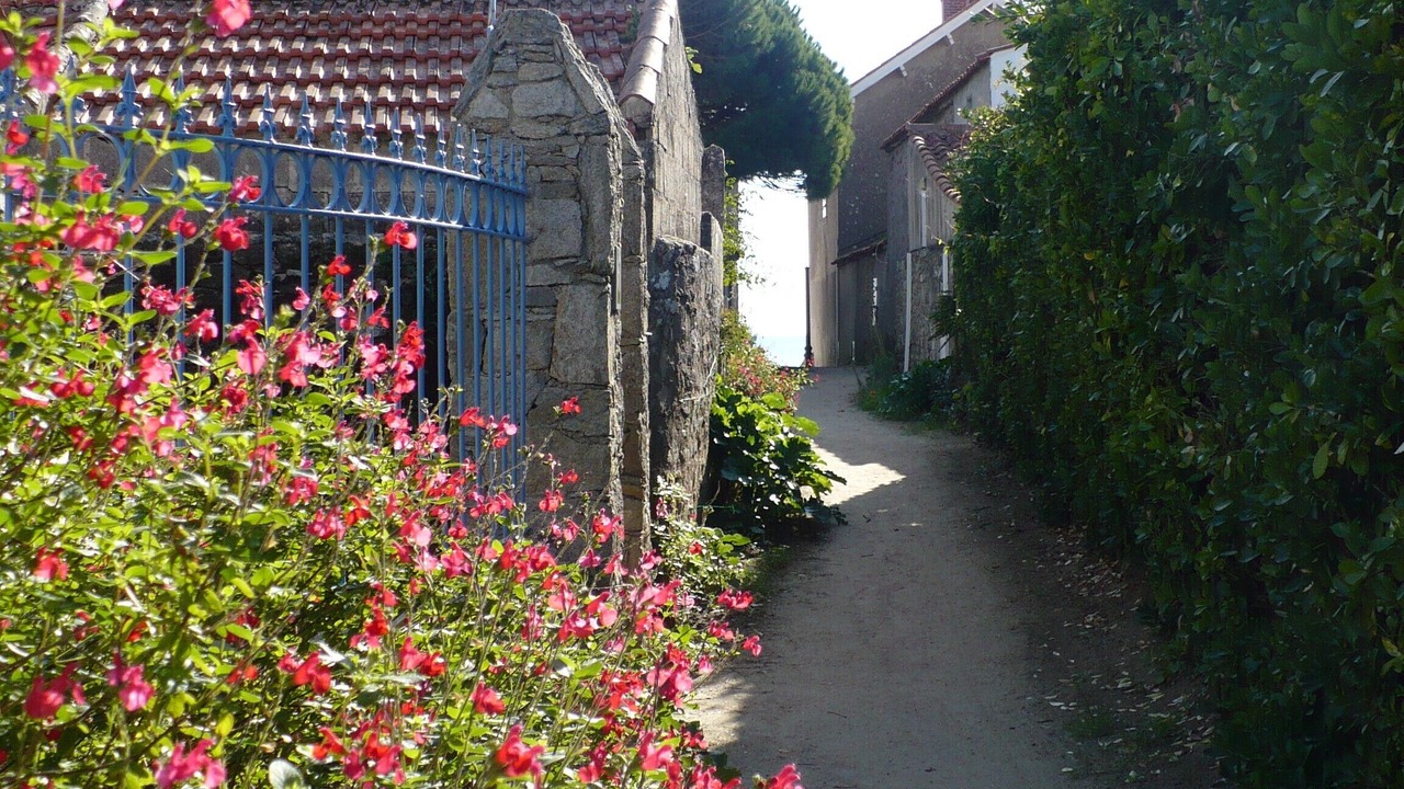 Photo of Outdoor in Noirmoutier-en-l'Ile