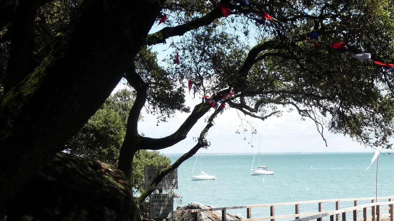 Photo of Others in Noirmoutier-en-l'Ile