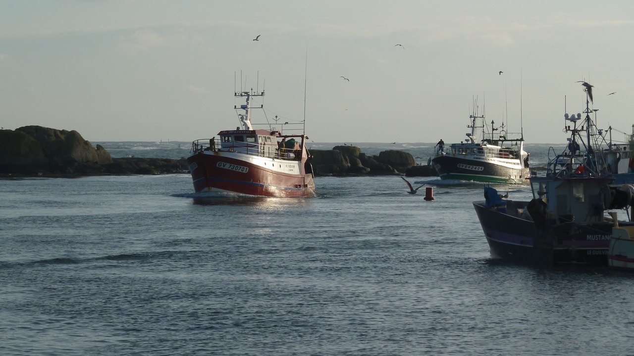 Photo of Others in Ploneour-Lanvern