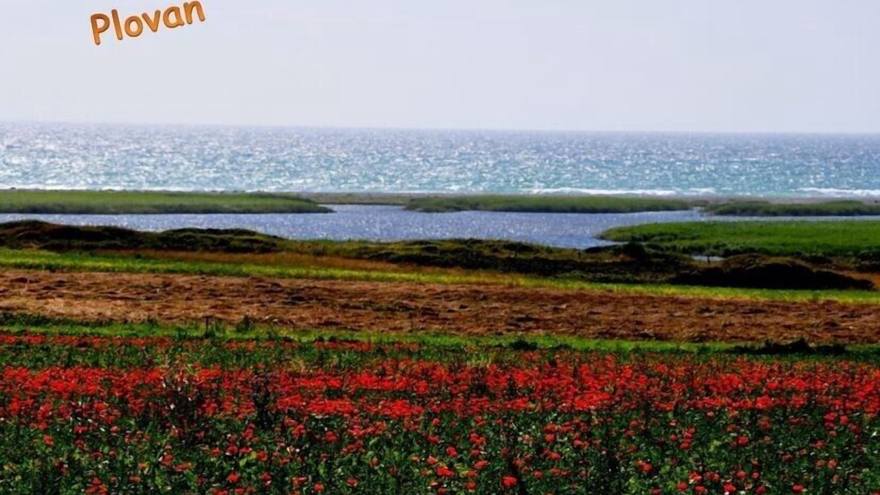 Photo of Others in Ploneour-Lanvern