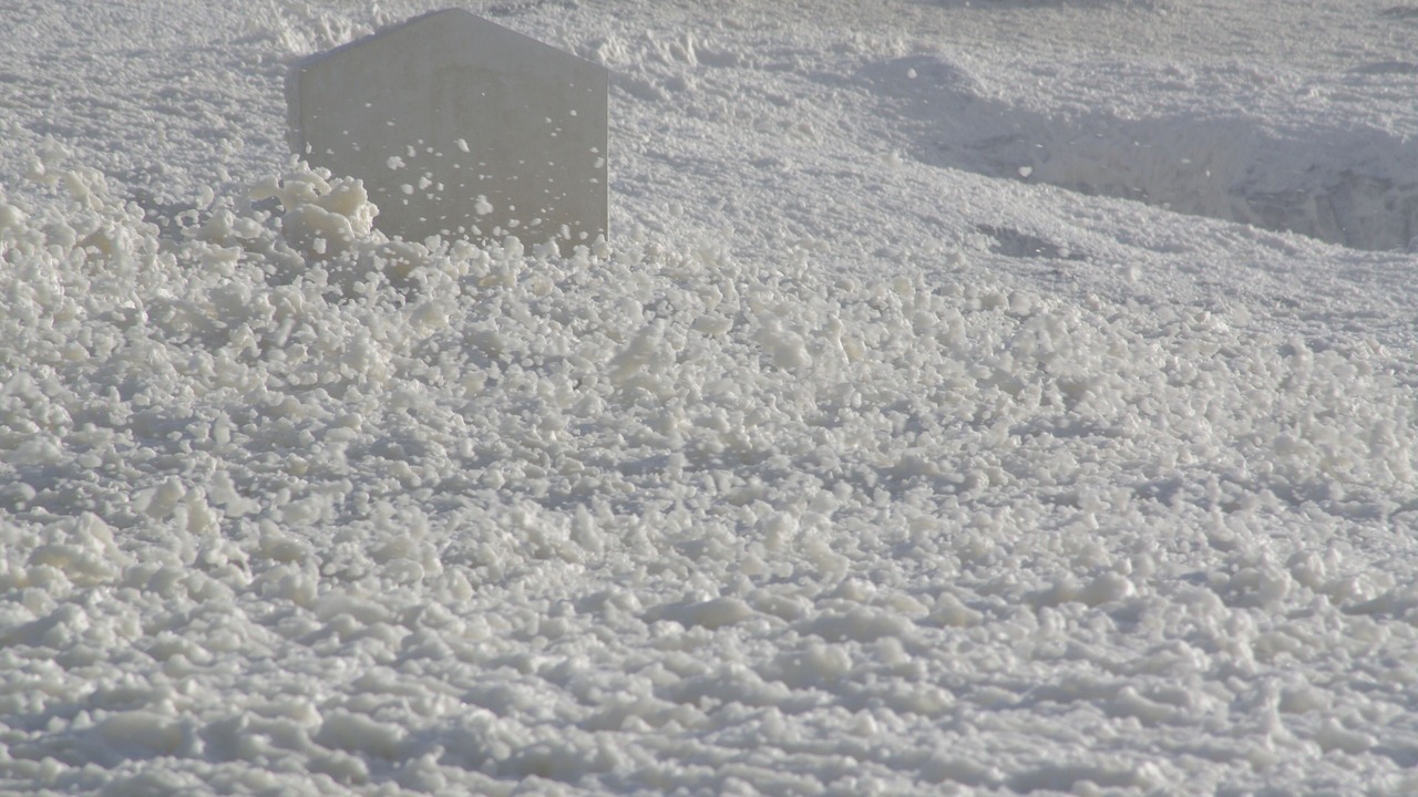 Photo of Others in Ile d'Yeu