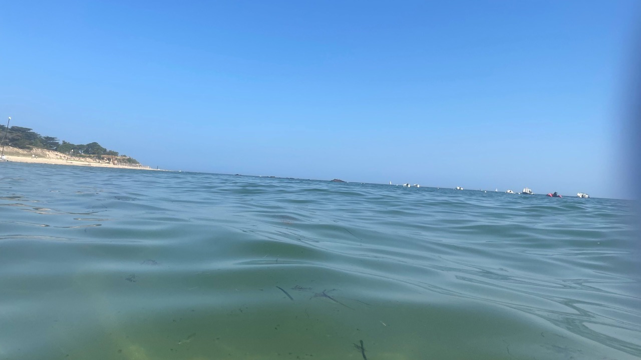 Photo of Others in Ile d'Yeu