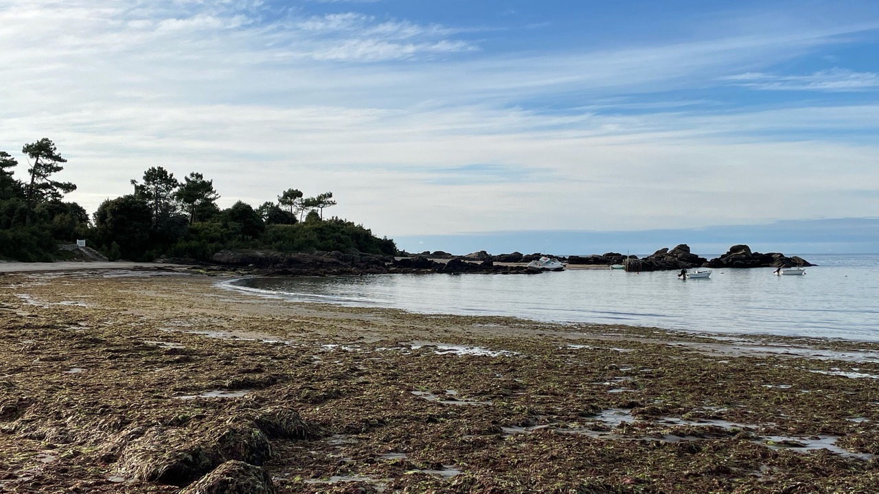 Photo of Others in Ile d'Yeu