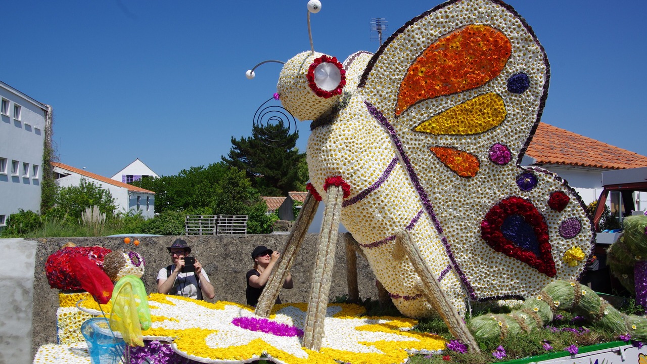 Photo of Others in Ile d'Yeu