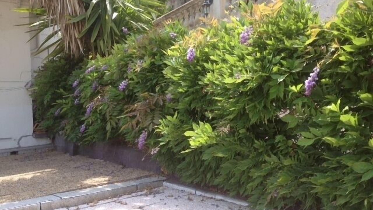 Photo of Outdoor in Menton