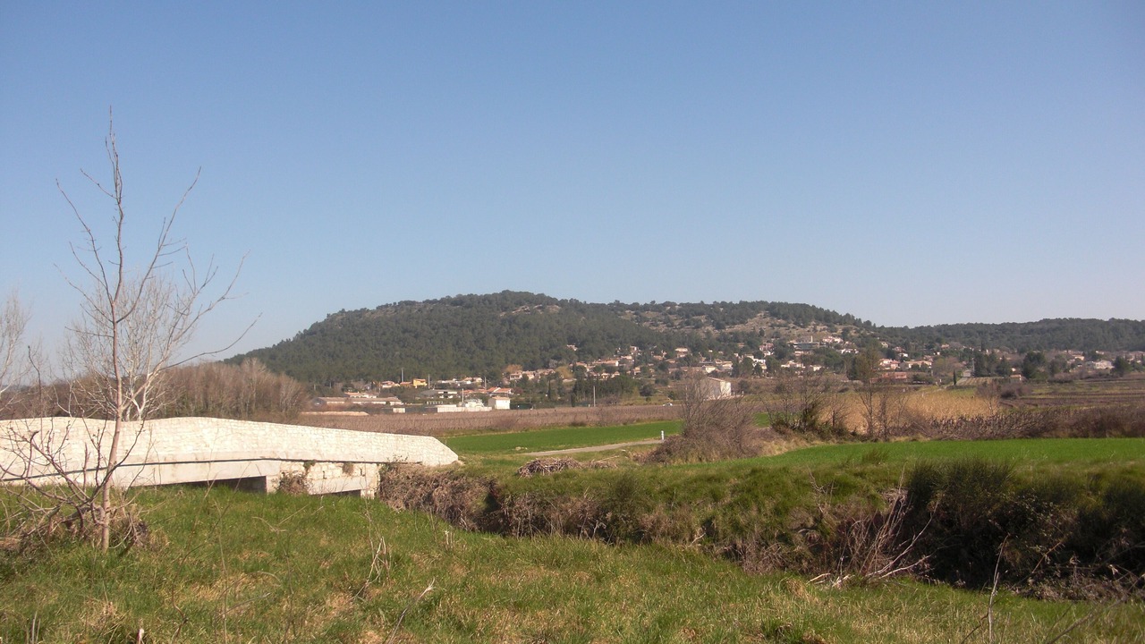 Photo of Others in Nages-et-Solorgues