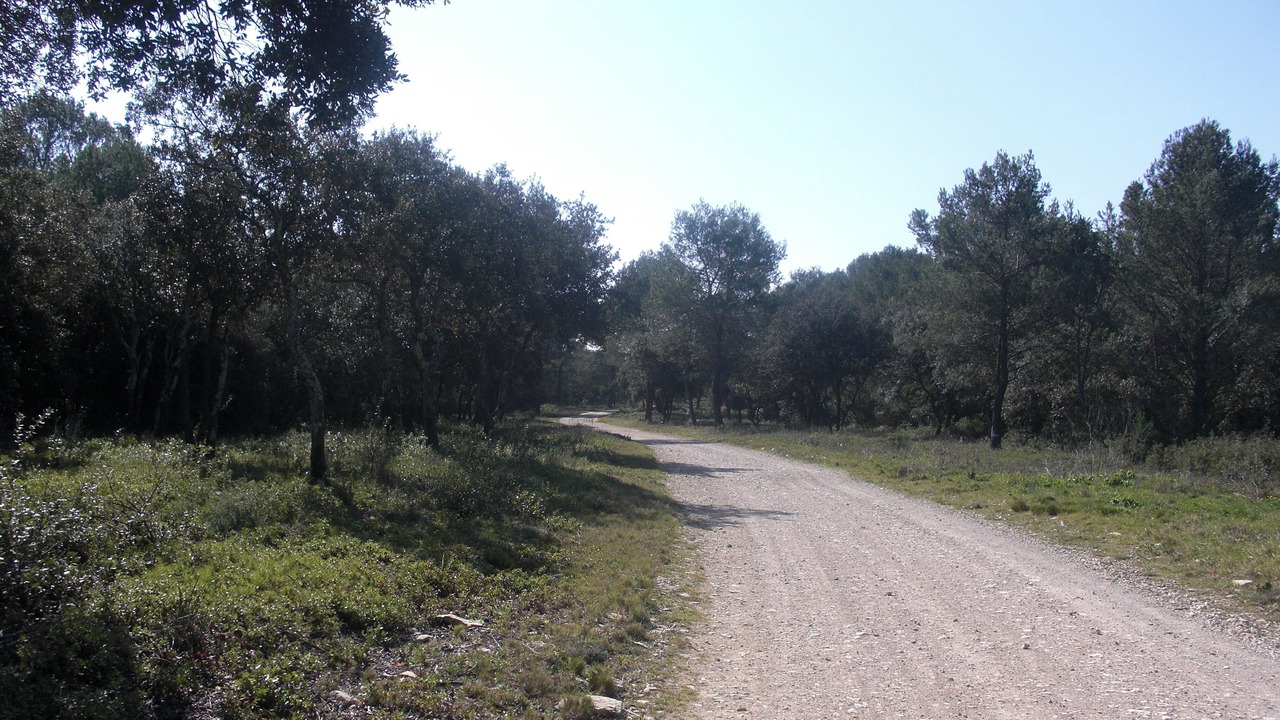 Photo of Outdoor in Nages-et-Solorgues