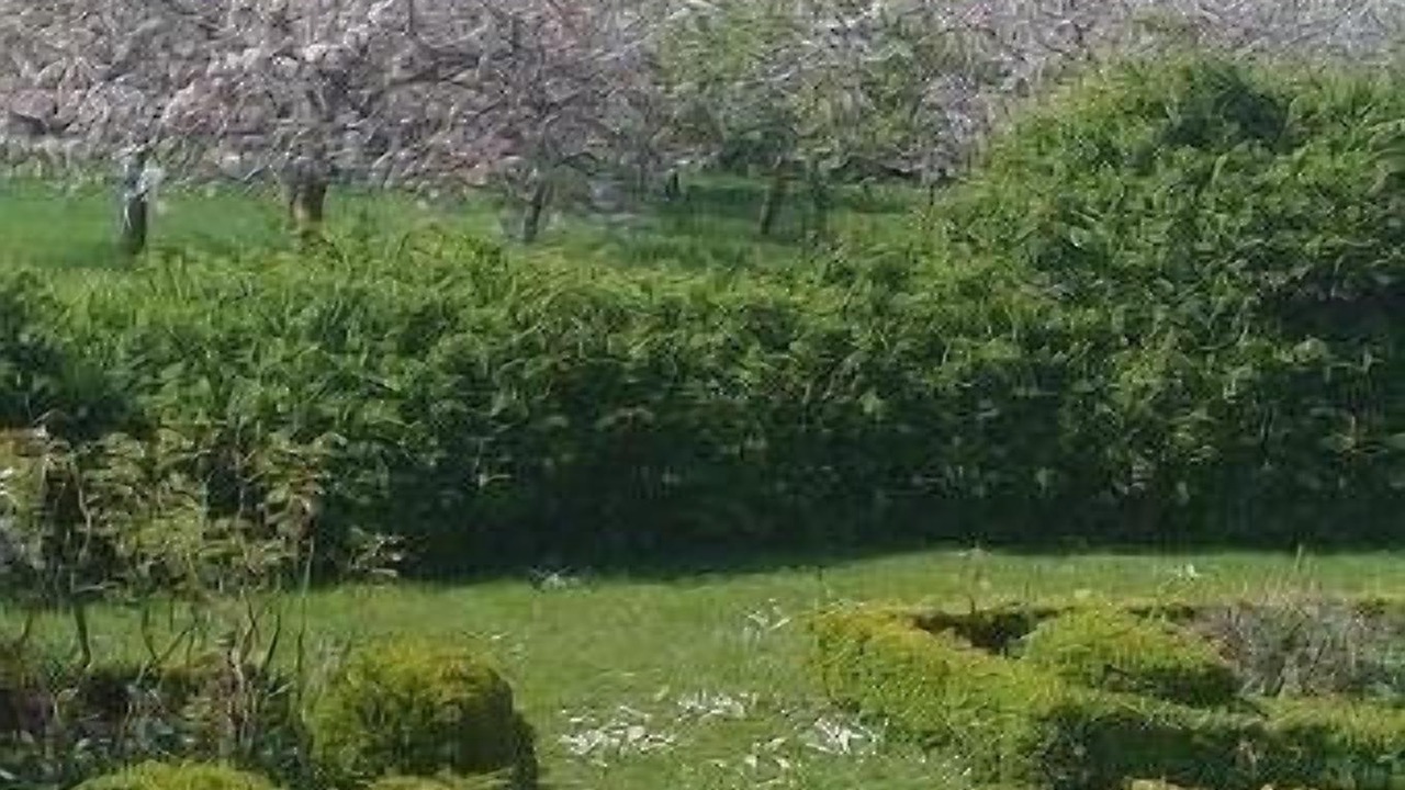 Photo of Outdoor in Saint-Pierre-du-Jonquet