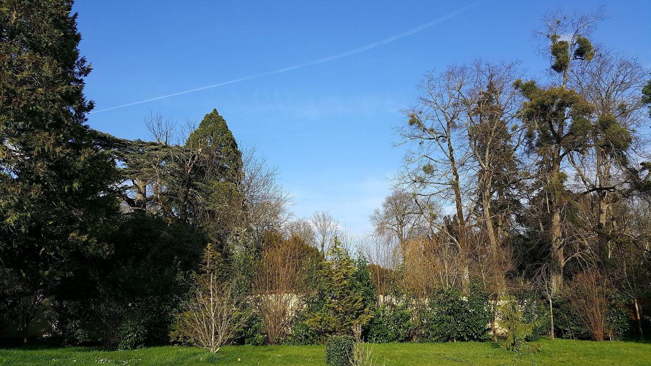 Photo of Outdoor in Chardonnay