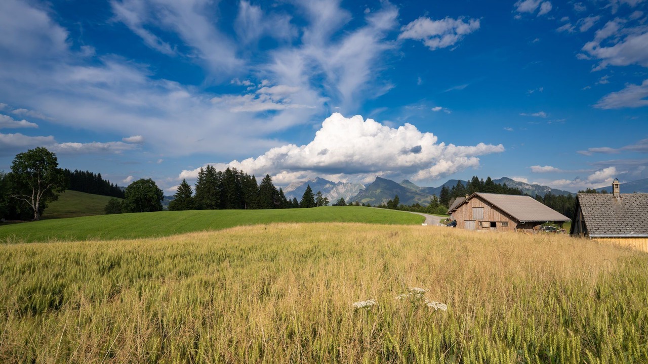 Photo of Others in Oberurnen