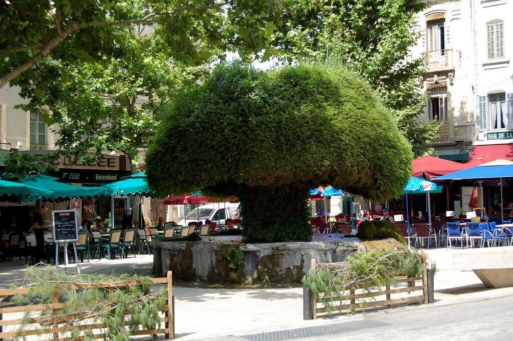 Photo of Outdoor in Salon-de-Provence