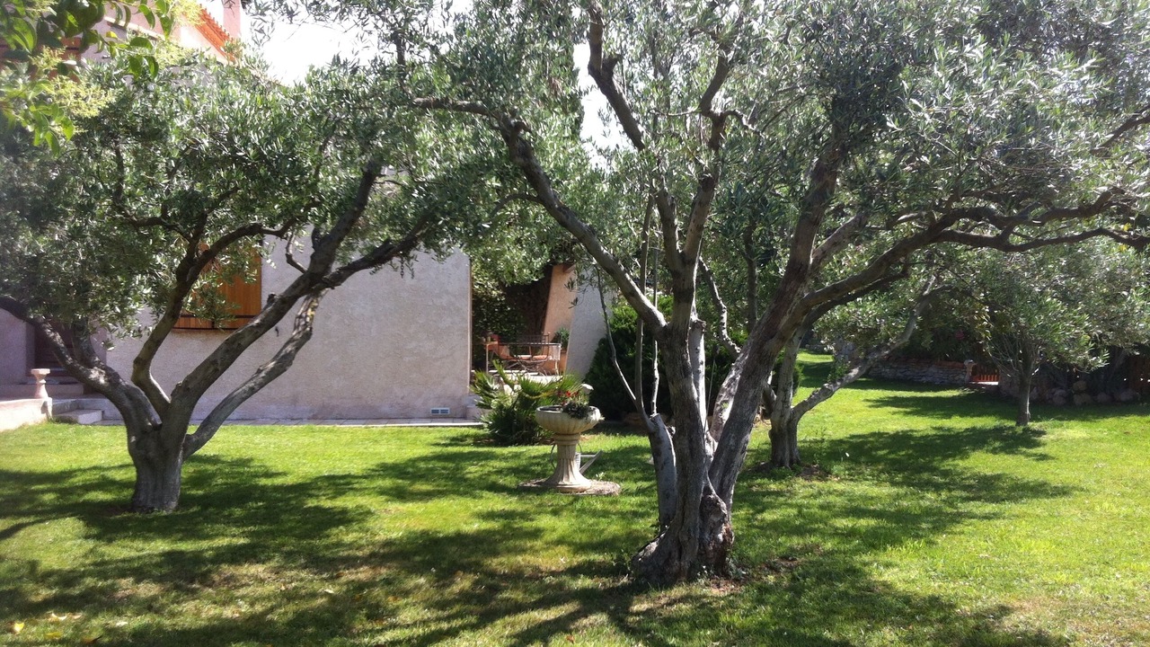 Photo of Outdoor in Les Amarats