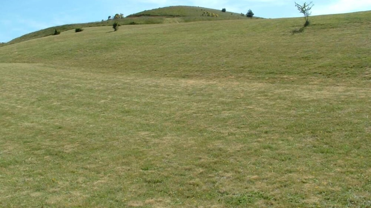 Photo of Others in Laurac