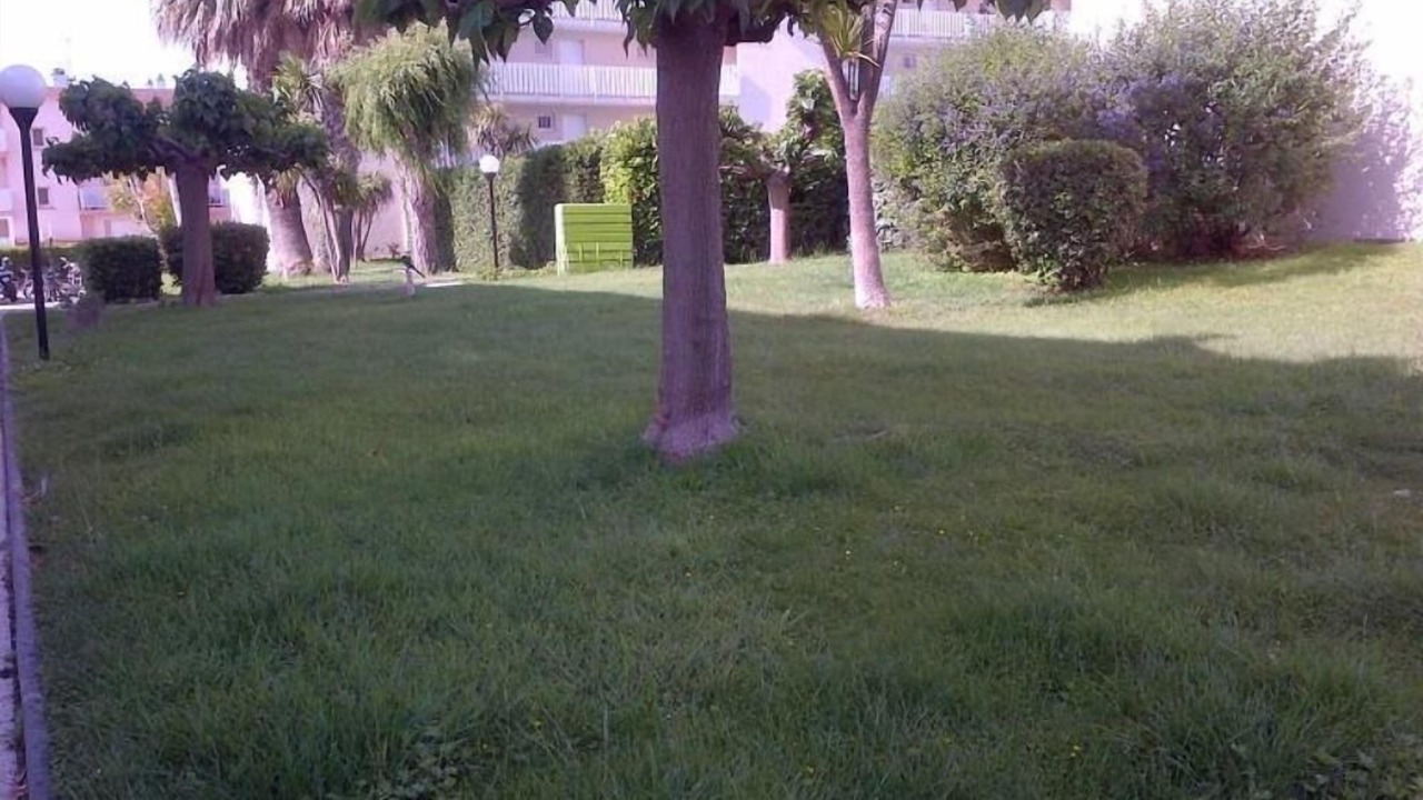 Photo of Outdoor in Les Sablettes