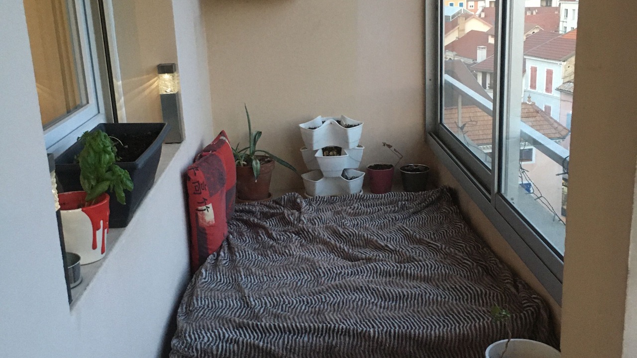 Photo of Others in Gap