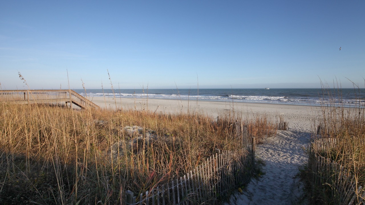 Photo of Others in Surfside Beach