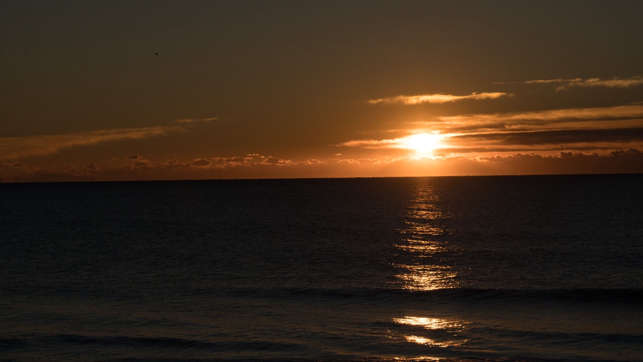 Photo of Others in Surfside Beach