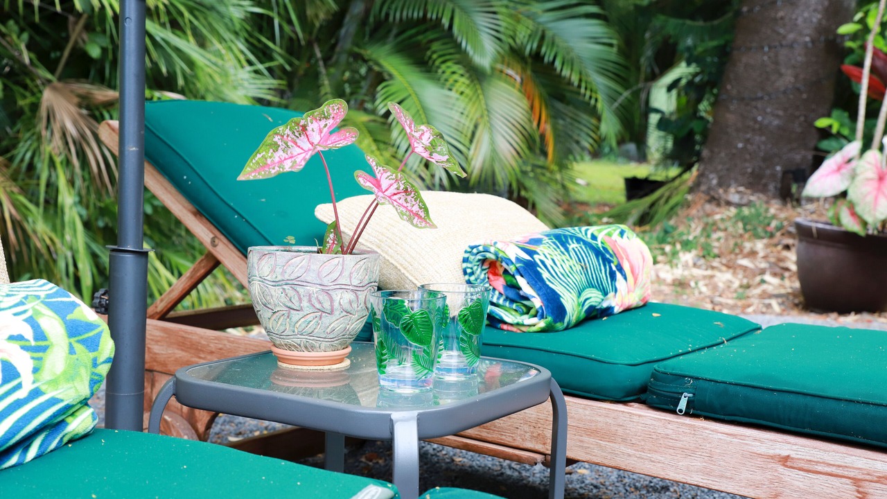 Photo of Outdoor in Pauwela