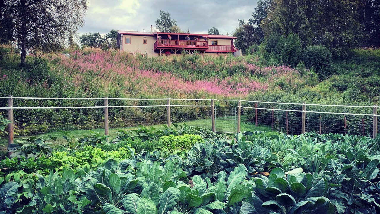 Photo of Outdoor in Palmer