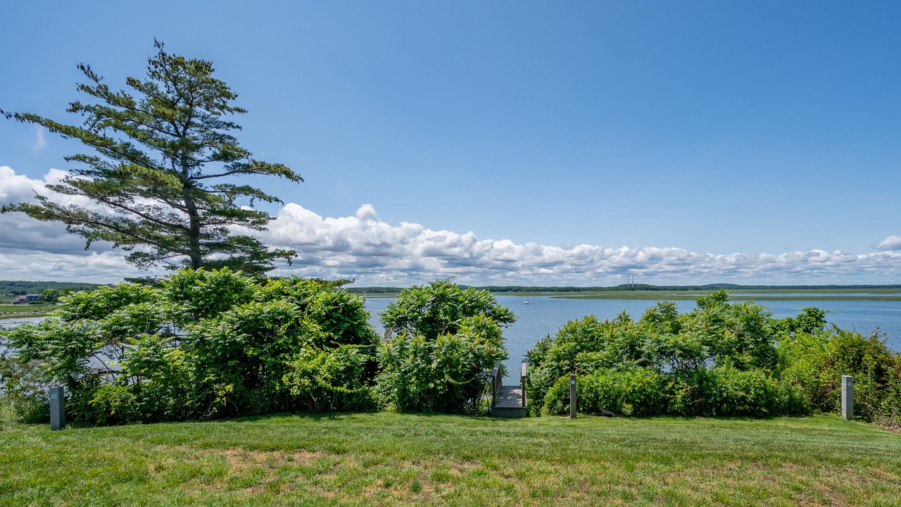 Photo of Others in Great Neck