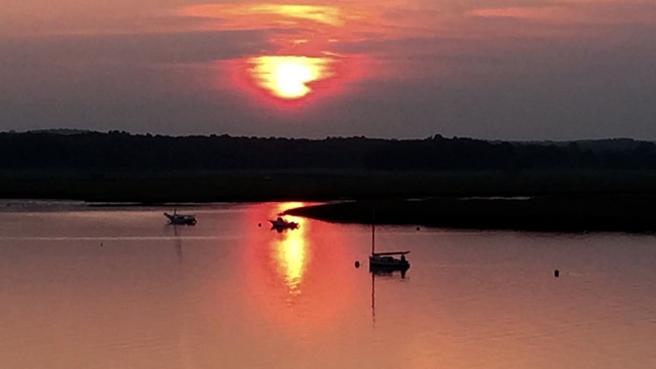 Photo of Others in Great Neck