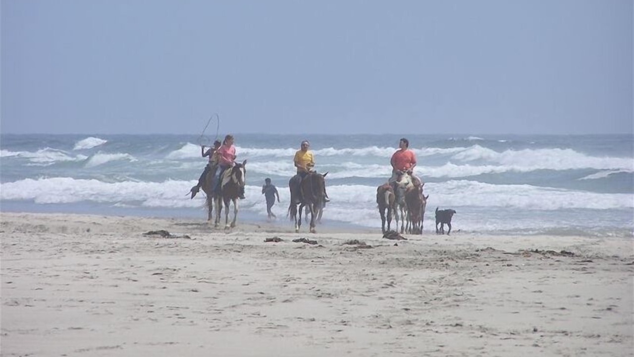 Photo of Others in La Fonda