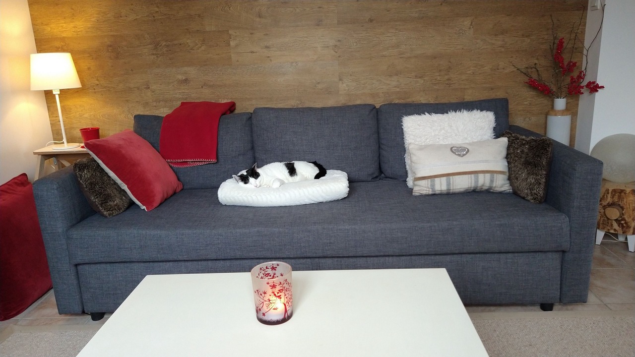 Photo of Livingroom in Seyne