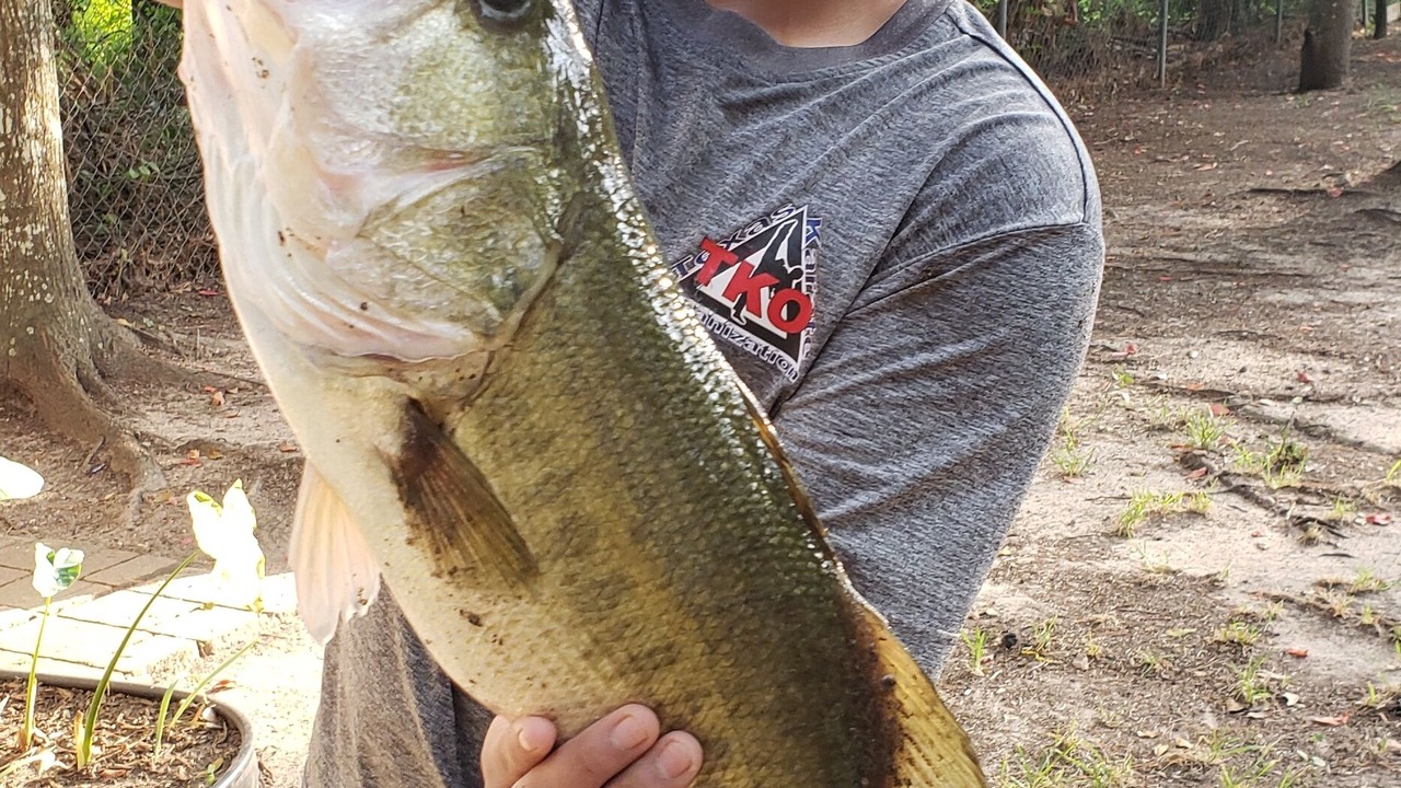 Photo of Outdoor in Montgomery