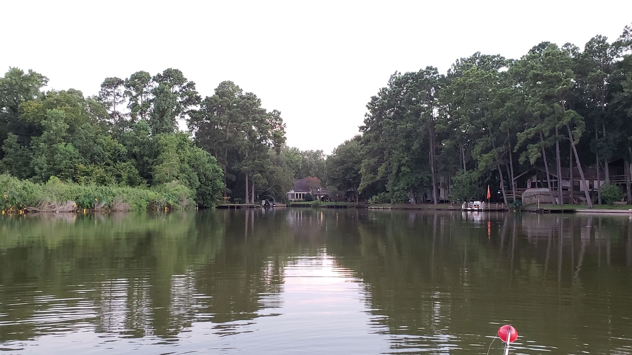 Photo of Others in Montgomery