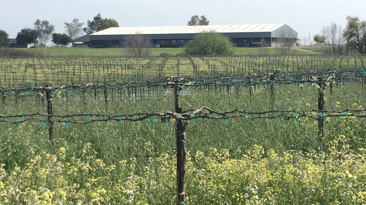 Photo of Others in Victor