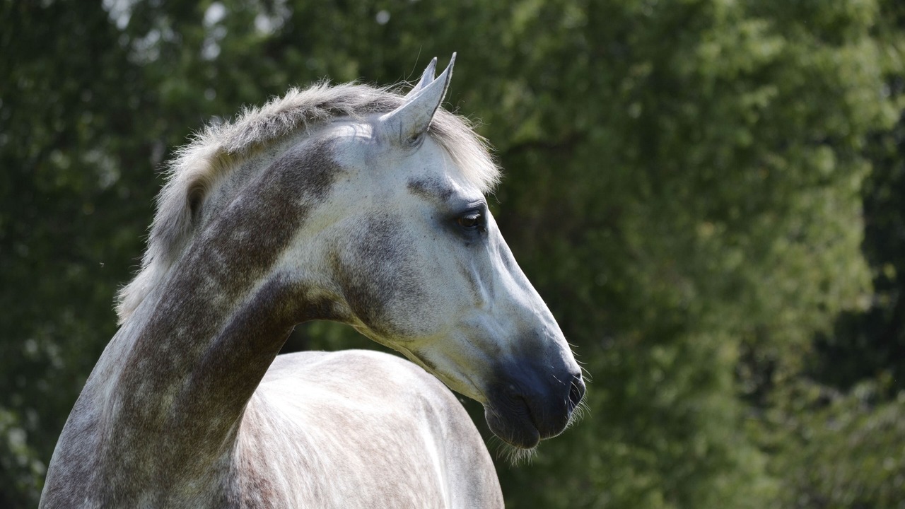 Photo of Others in Victor