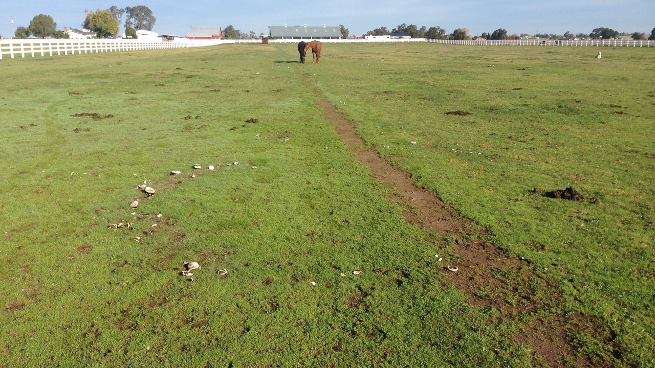 Photo of Others in Victor