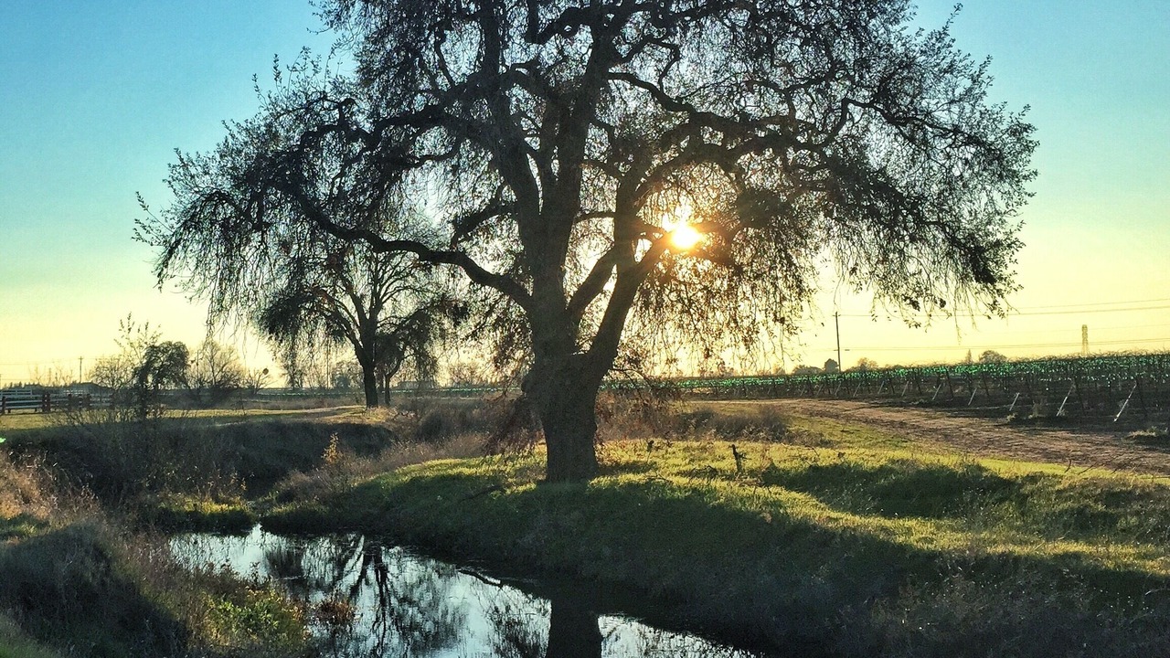 Photo of Others in Victor