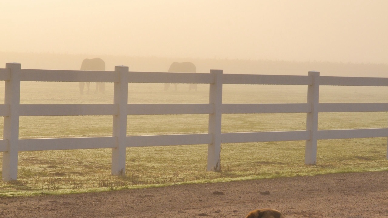 Photo of Others in Victor