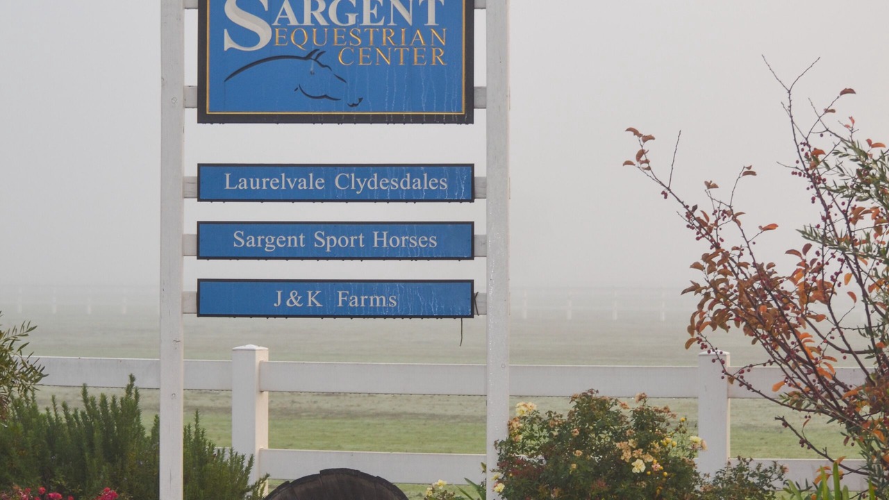 Photo of Others in Victor