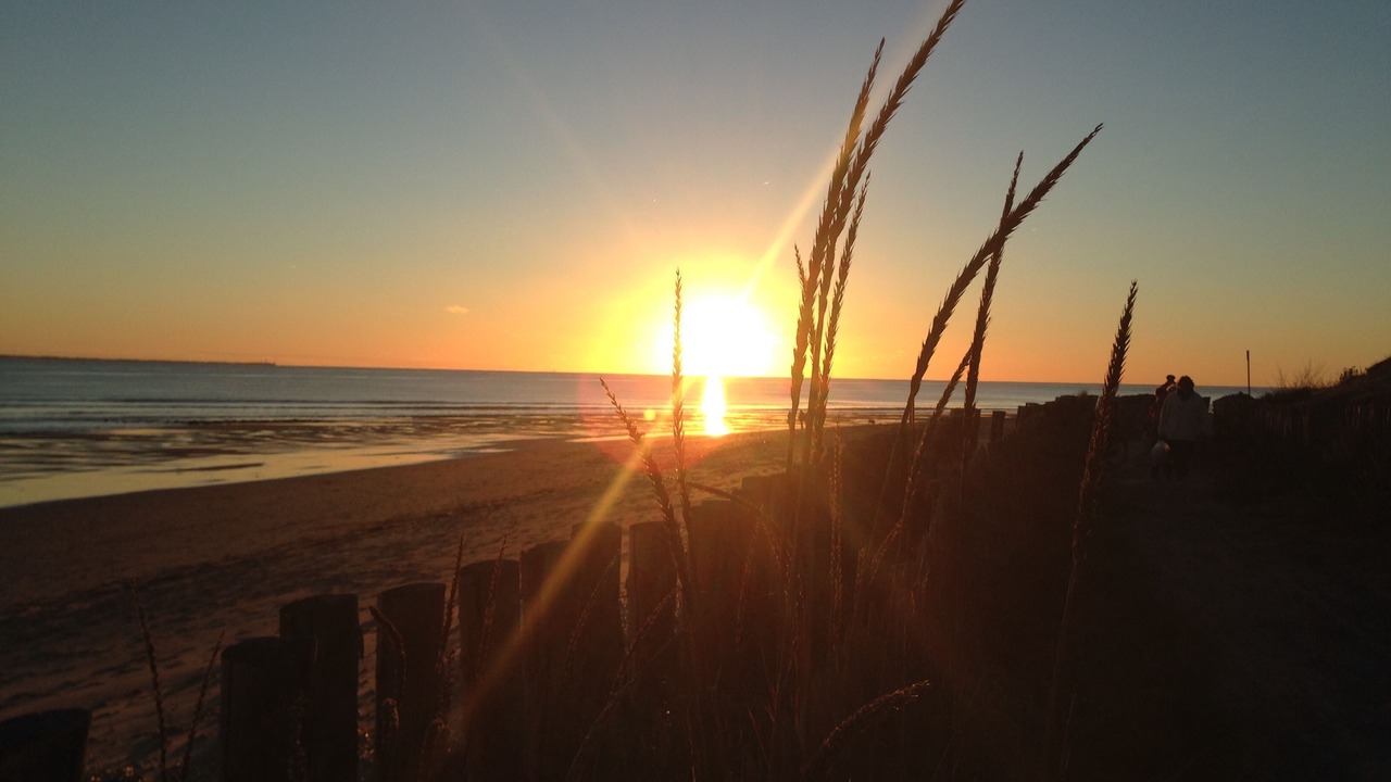 Photo of Others in La Tranche-sur-Mer