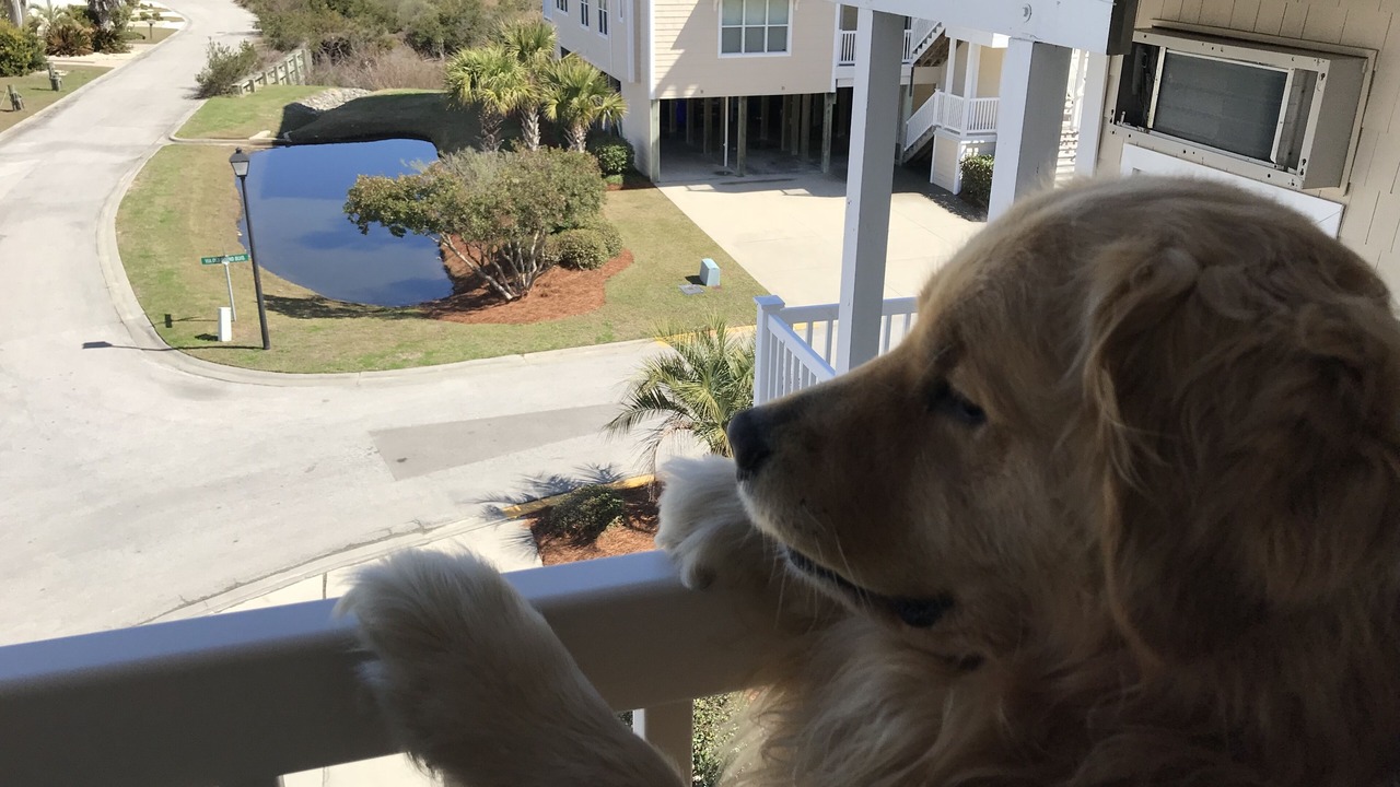 Photo of Outdoor in Ocean Isle Beach