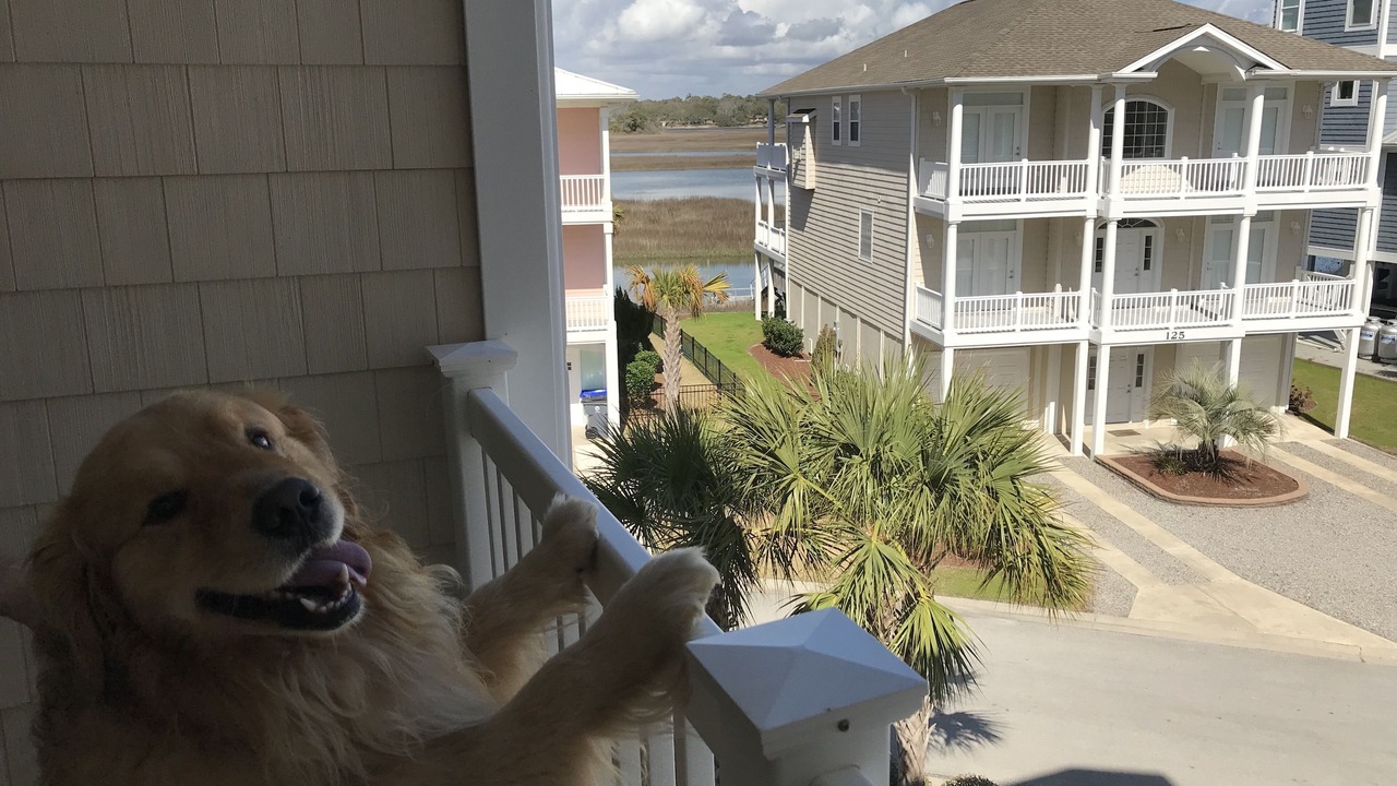 Photo of Others in Ocean Isle Beach